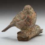 Mountain Chickadee