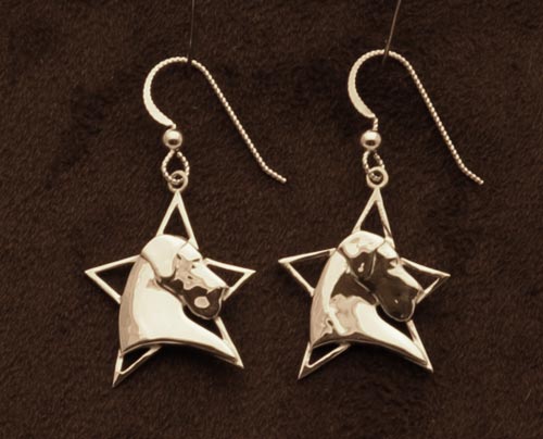 Stardom Earrings