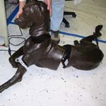 Wax replica sections